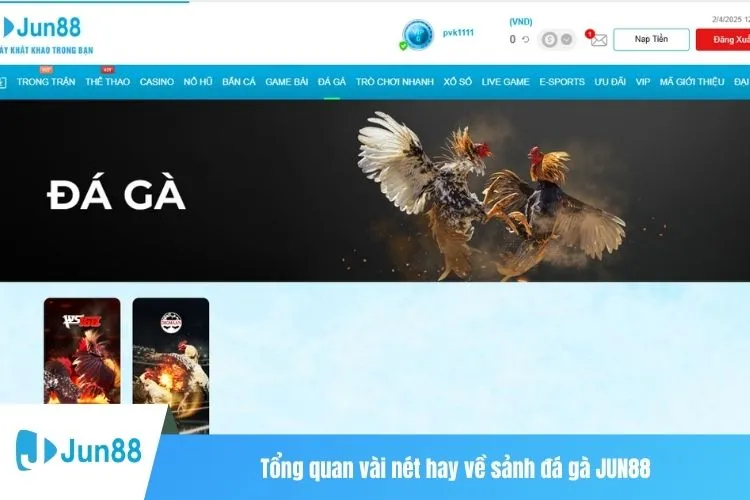 Tổng quan vài nét hay về sảnh đá gà JUN88