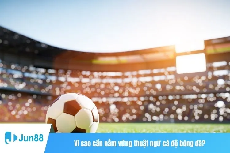 Vì sao cần nắm vững thuật ngữ cá độ bóng đá?