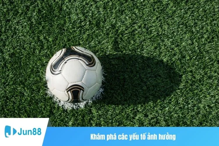 Khám phá các yếu tố ảnh hưởng